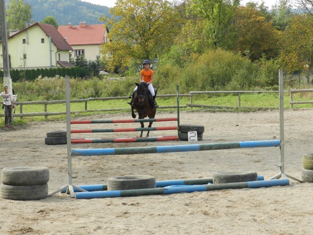 Babie Lato 2016